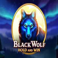 Black Wolf-BOOONGO