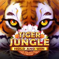 Tiger Jungle-BOOONGO